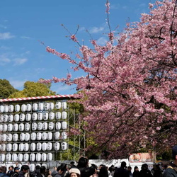 202503-Japan