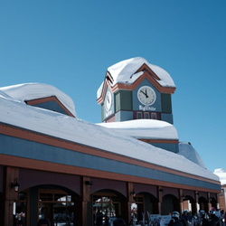 202003-BigWhite